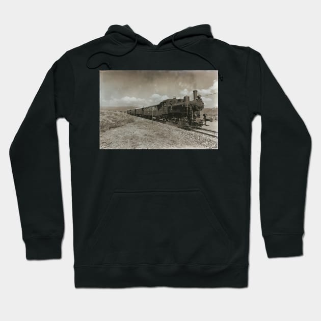 Steam Locomotive Railway Vintage Hoodie by ernstc